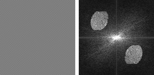  Участок голограммы отпечатка пальца и результат восстановления изображения
