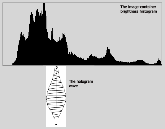 Luminance histogram of the original container image