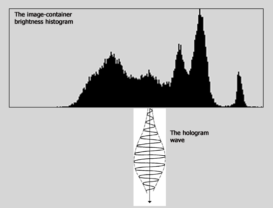 The image-container brightness histogram. The hologram wave